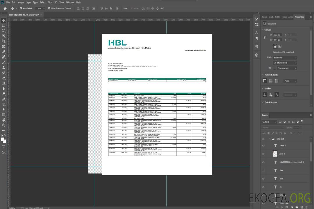 Relevé bancaire Pakistan HBL template Relevé bancaire Pakistan HBL template